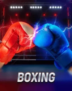 paldo sports image 4: Live Boxing Odds and Fight Betting