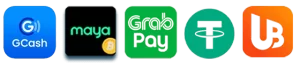 paldo template image 1