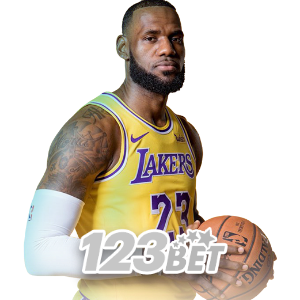 PALDO basketball slam dunk
