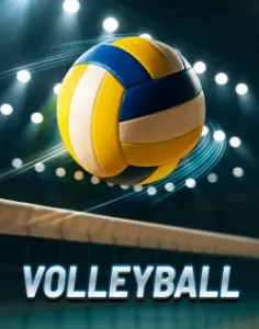 paldo sports image 3: Volleyball Betting Made Easy